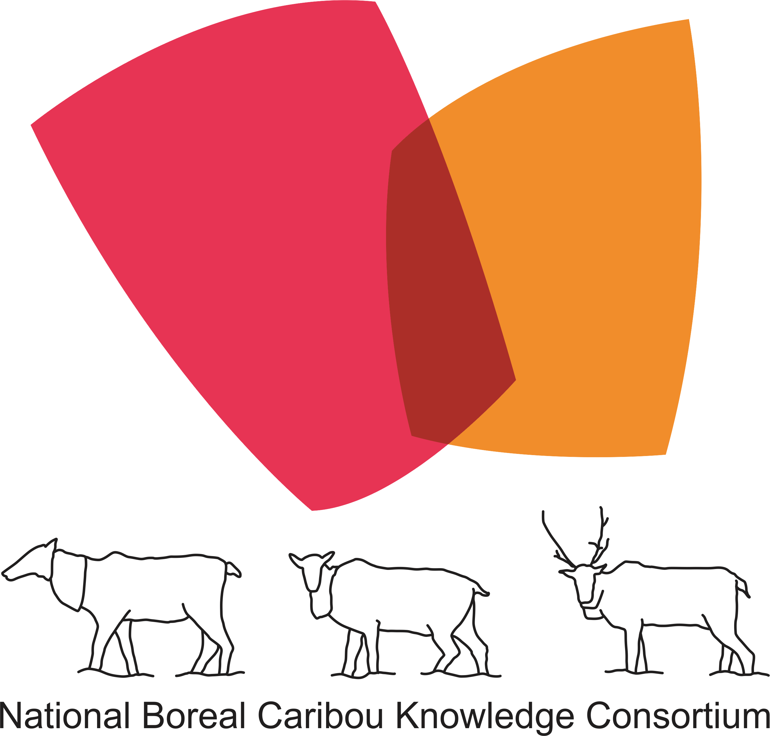 National Boreal Caribou Knowledge Consortium NBCKC CNSCB Canadian Conservation And Land 
